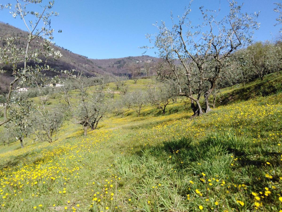 Agriturismo Terrarossa Pistoia Bagian luar foto