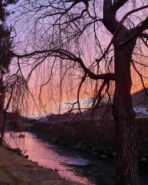 Agriturismo Terrarossa Pistoia Bagian luar foto