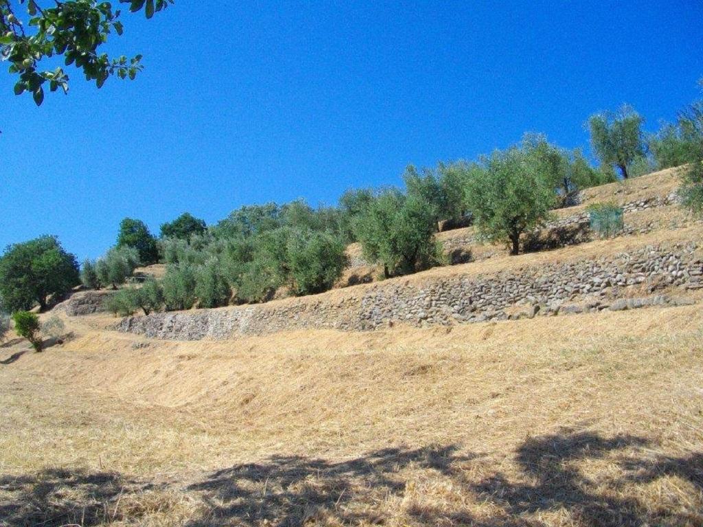 Agriturismo Terrarossa Pistoia Bagian luar foto
