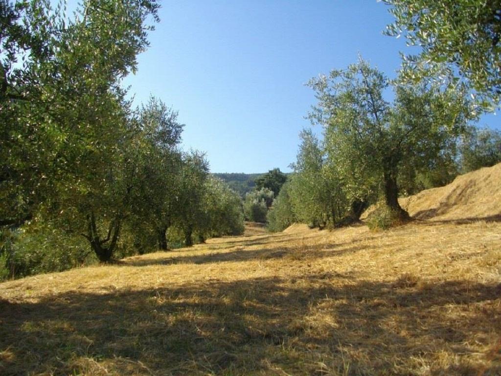Agriturismo Terrarossa Pistoia Bagian luar foto