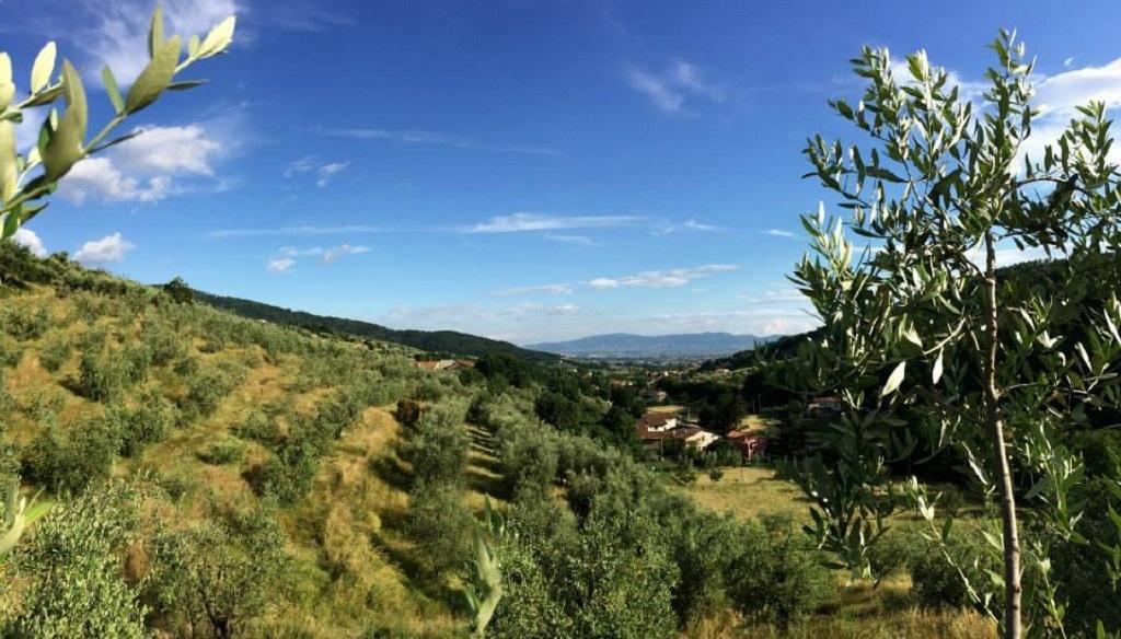 Agriturismo Terrarossa Pistoia Bagian luar foto
