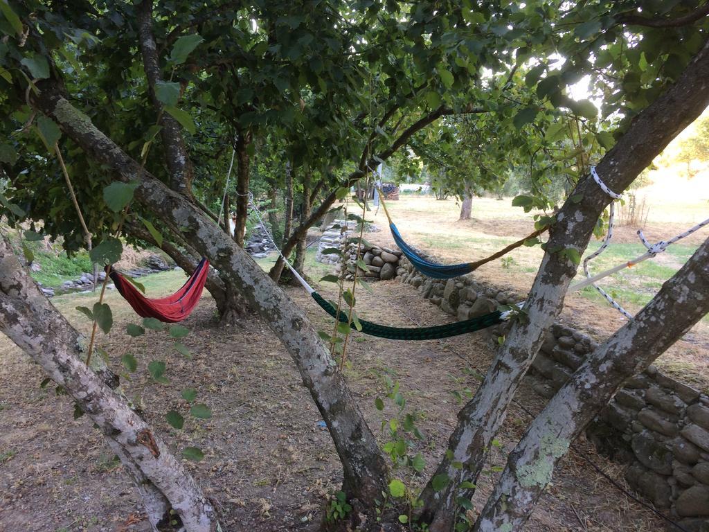 Agriturismo Terrarossa Pistoia Bagian luar foto