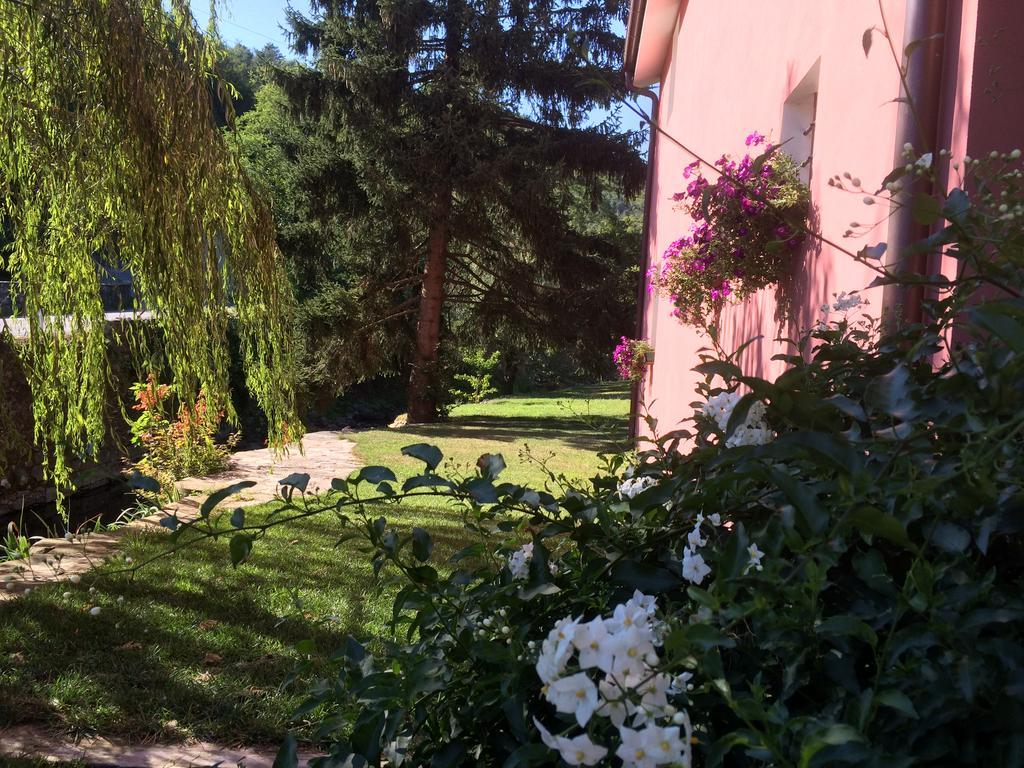 Agriturismo Terrarossa Pistoia Bagian luar foto