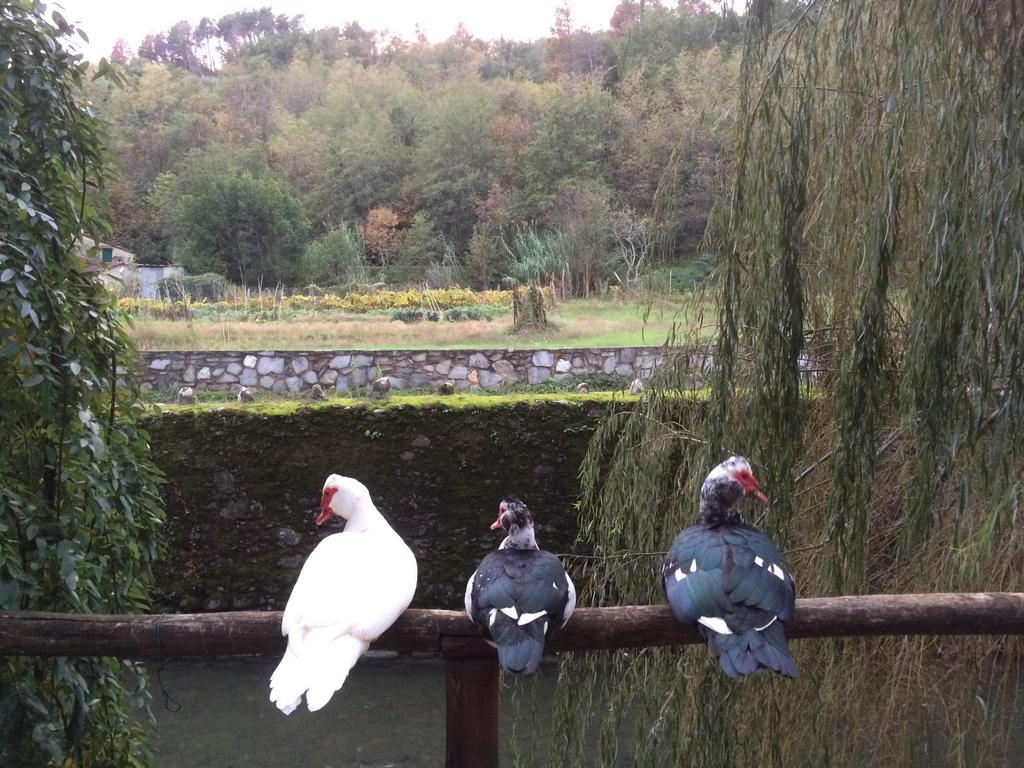 Agriturismo Terrarossa Pistoia Bagian luar foto